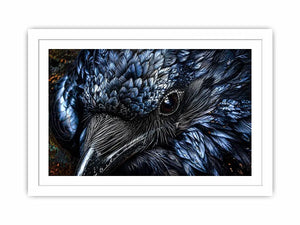 Black Cock Canvas Print