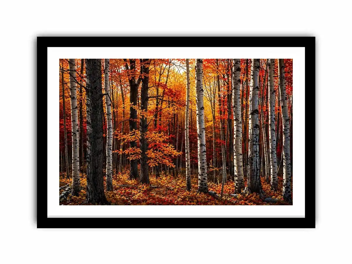 Hardwood Forests Canvas Print