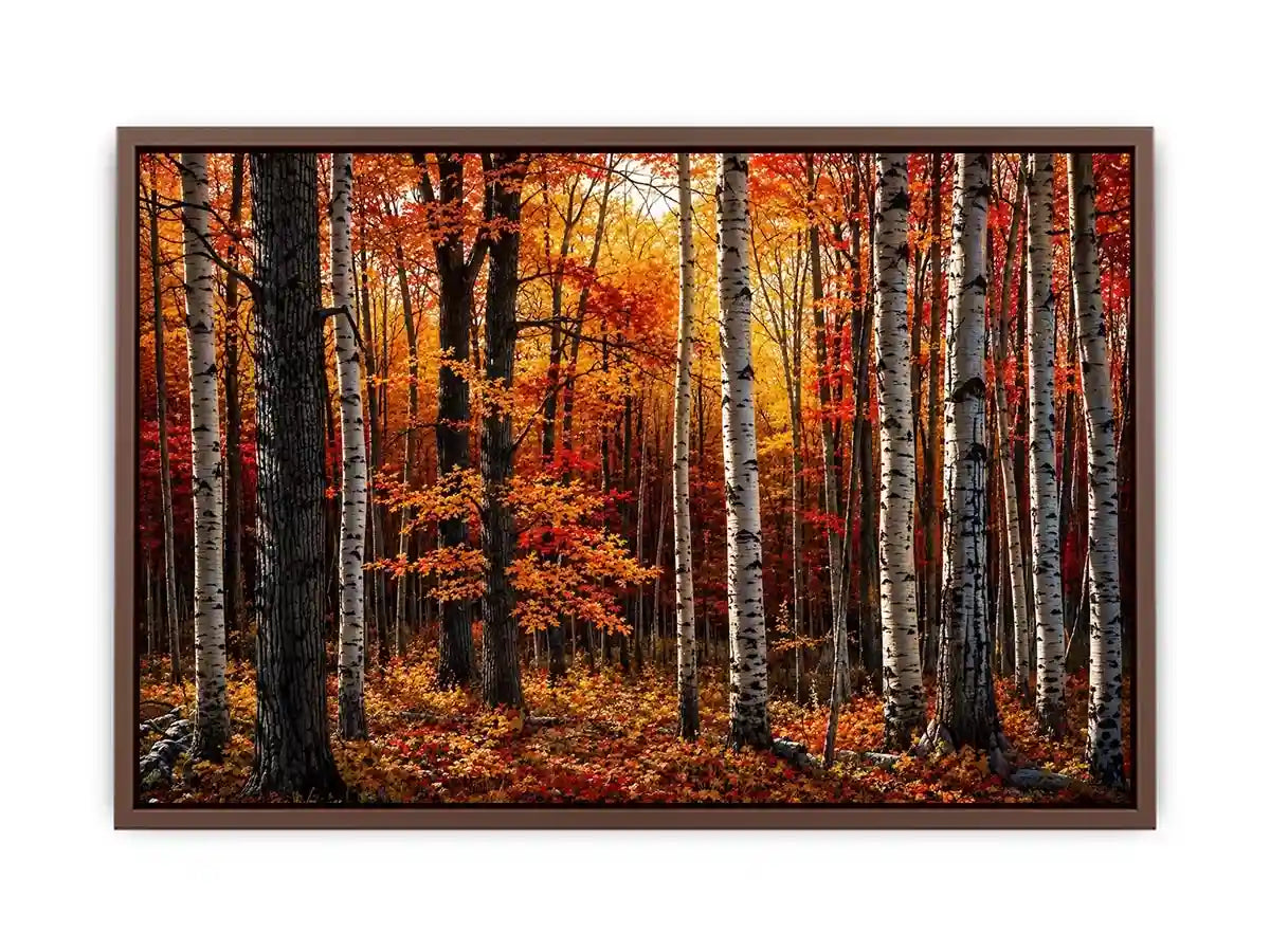 Hardwood Forests Canvas Print