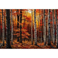 Hardwood Forests Canvas Print