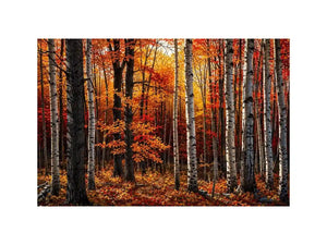 Hardwood Forests Canvas Print
