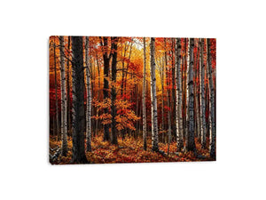 Hardwood Forests Canvas Print