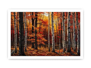Hardwood Forests Canvas Print