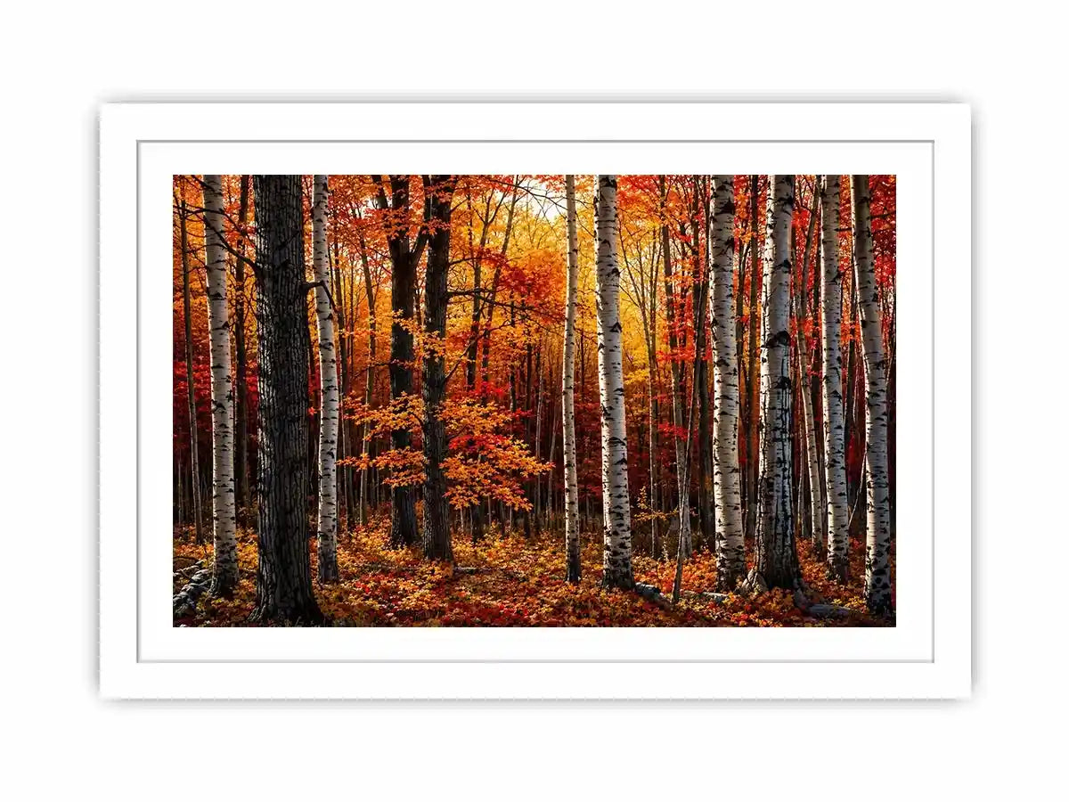 Hardwood Forests Canvas Print