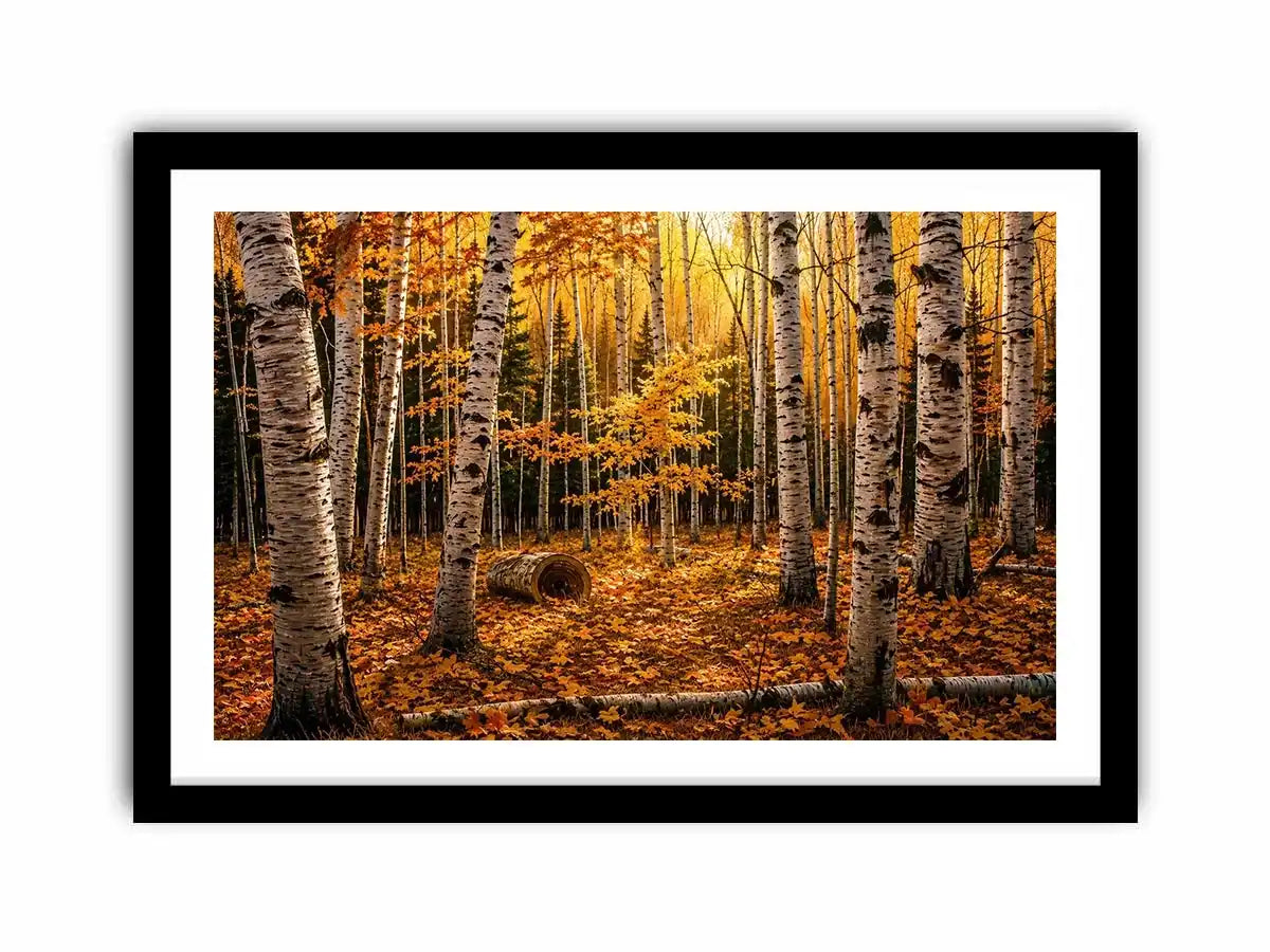Yellow Forest Canvas Print