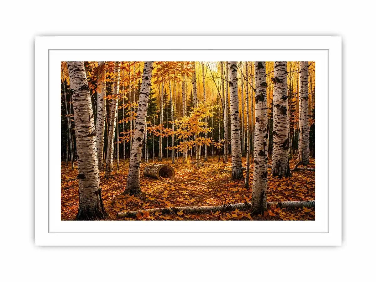 Yellow Forest Canvas Print