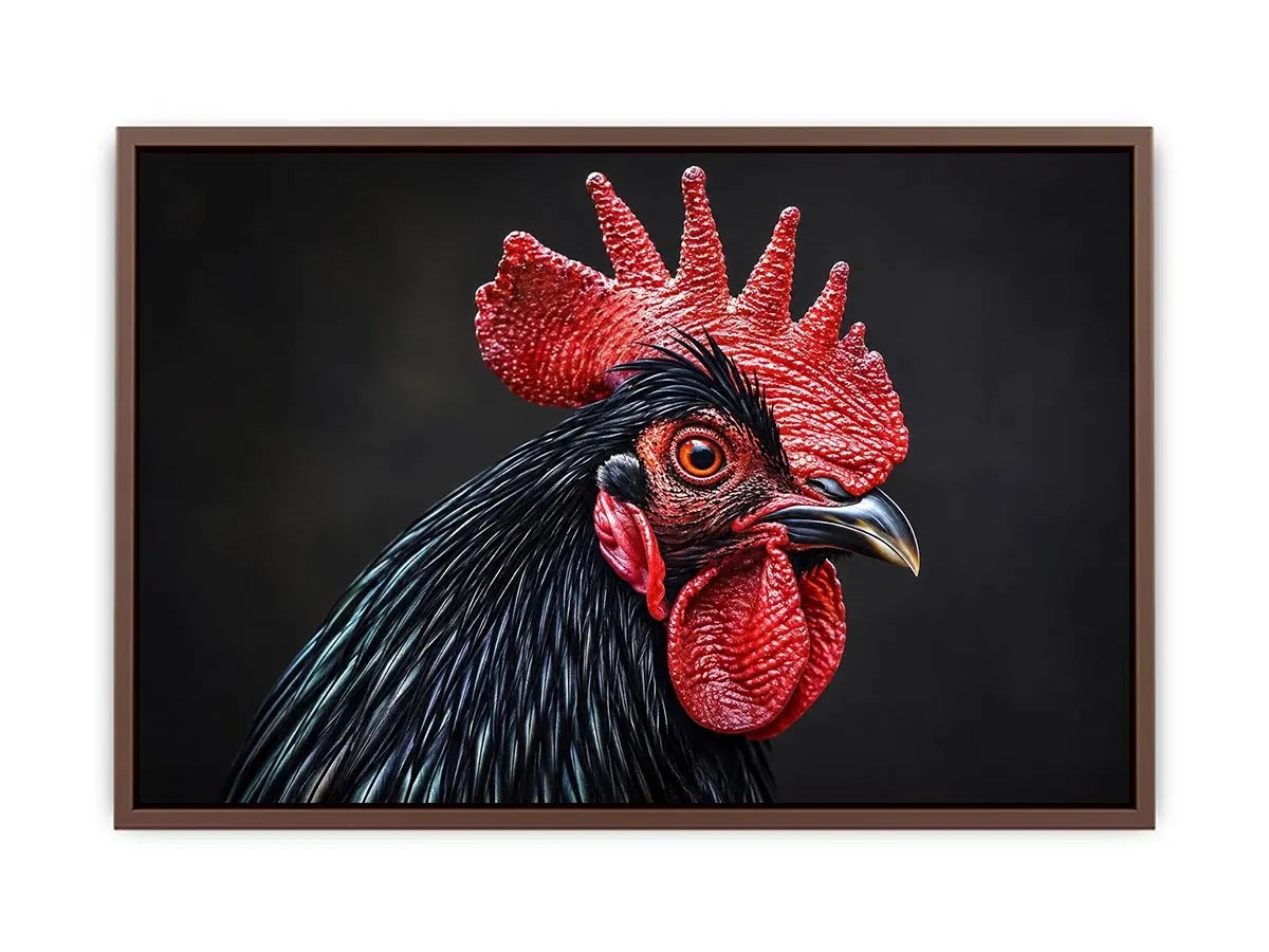 Black Cock Canvas Print
