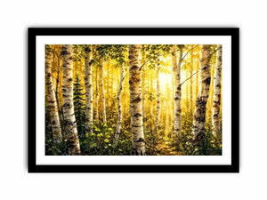Birch Trees Canvas Print