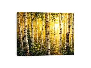 Birch Trees Canvas Print