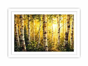 Birch Trees Canvas Print