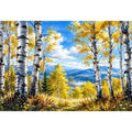 Birch Trees Canvas Print