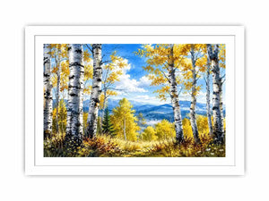 Birch Trees Canvas Print