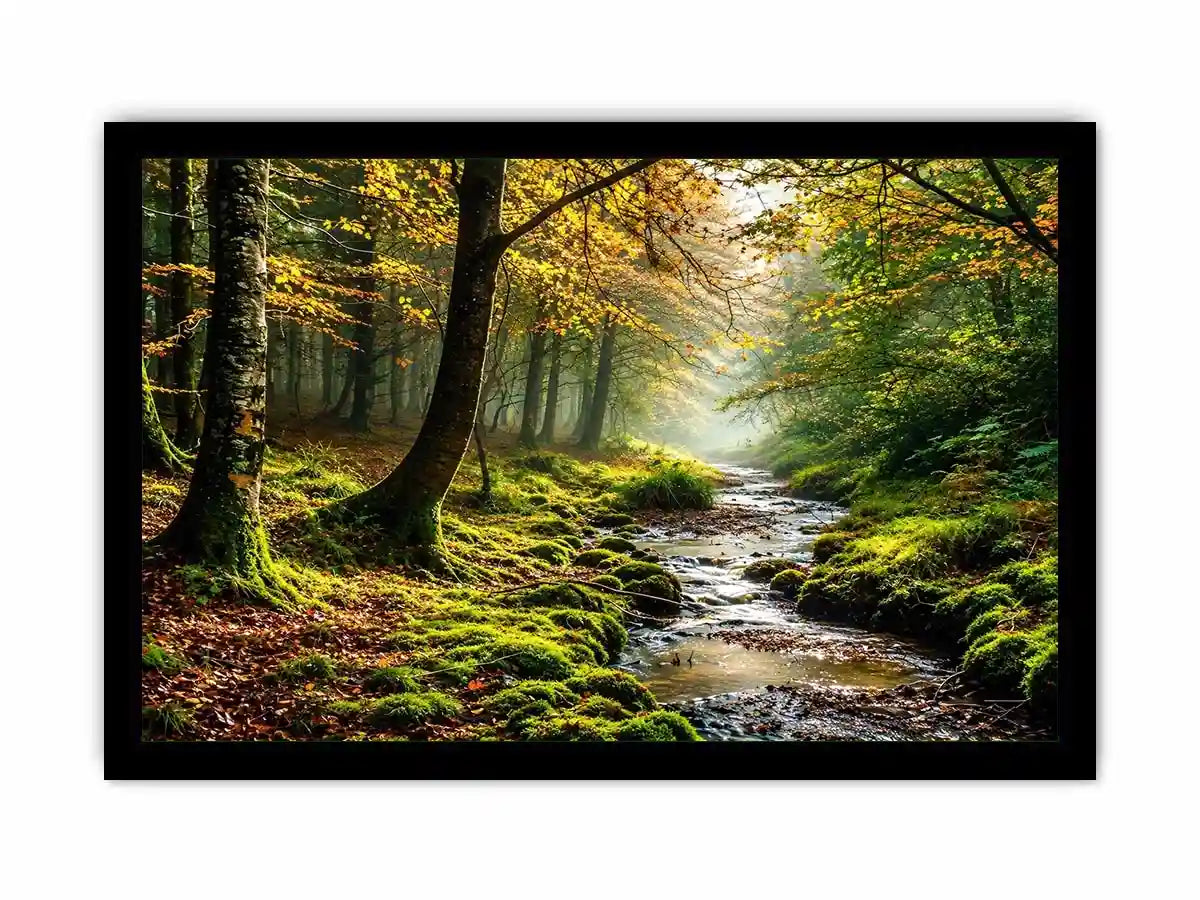 Misty Morning Canvas Print