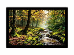 Misty Morning Canvas Print