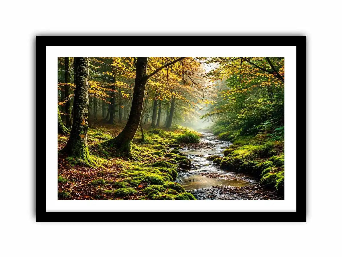 Misty Morning Canvas Print