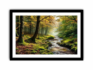 Misty Morning Canvas Print