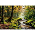 Misty Morning Canvas Print