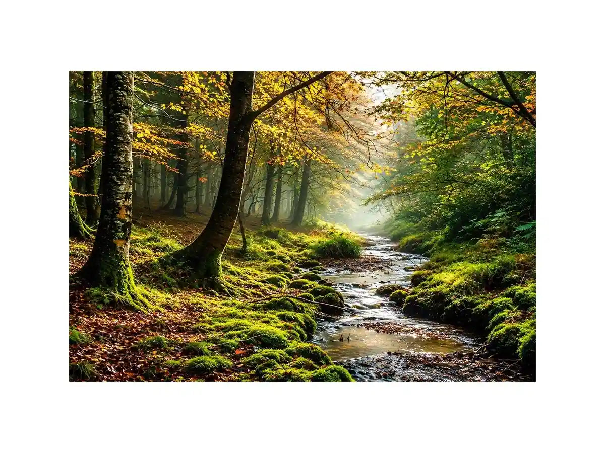 Misty Morning Canvas Print