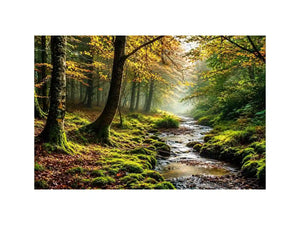 Misty Morning Canvas Print