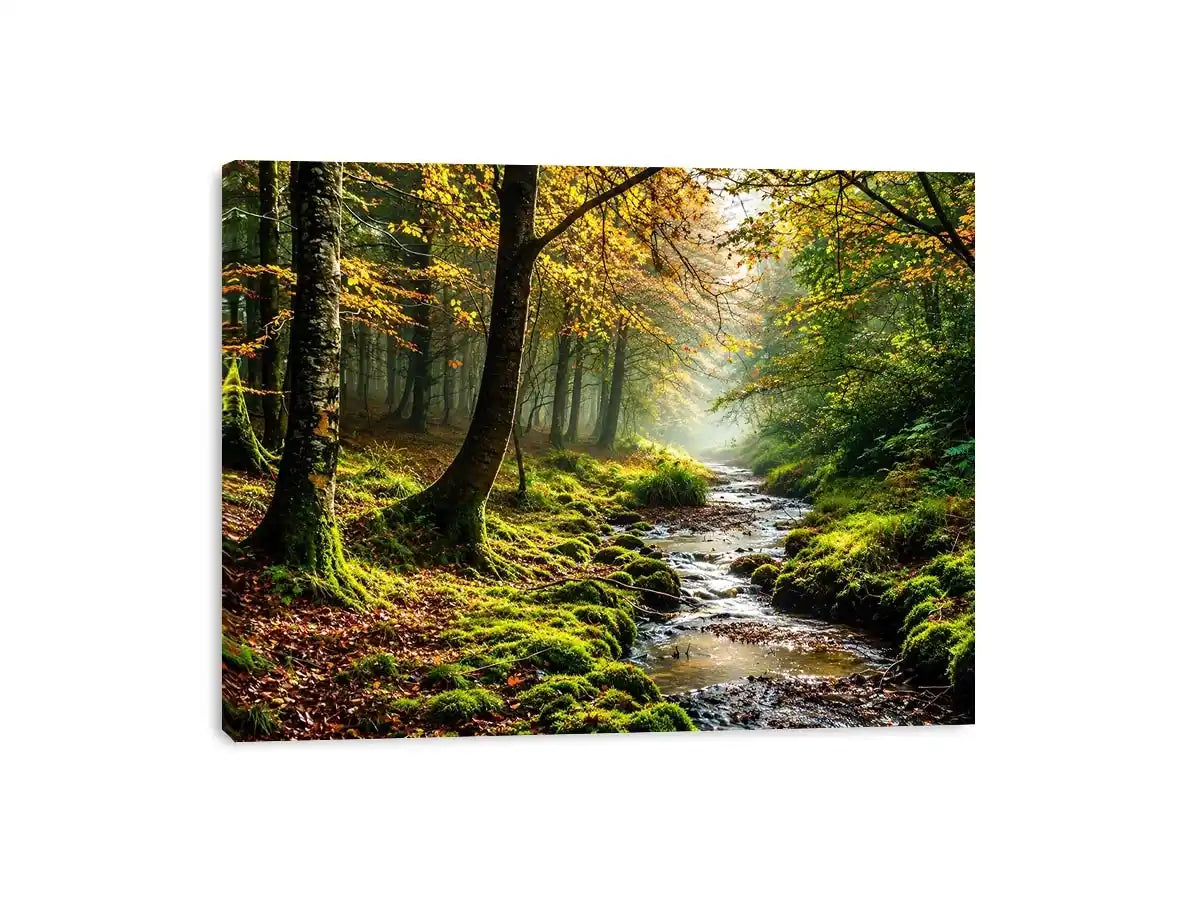 Misty Morning Canvas Print