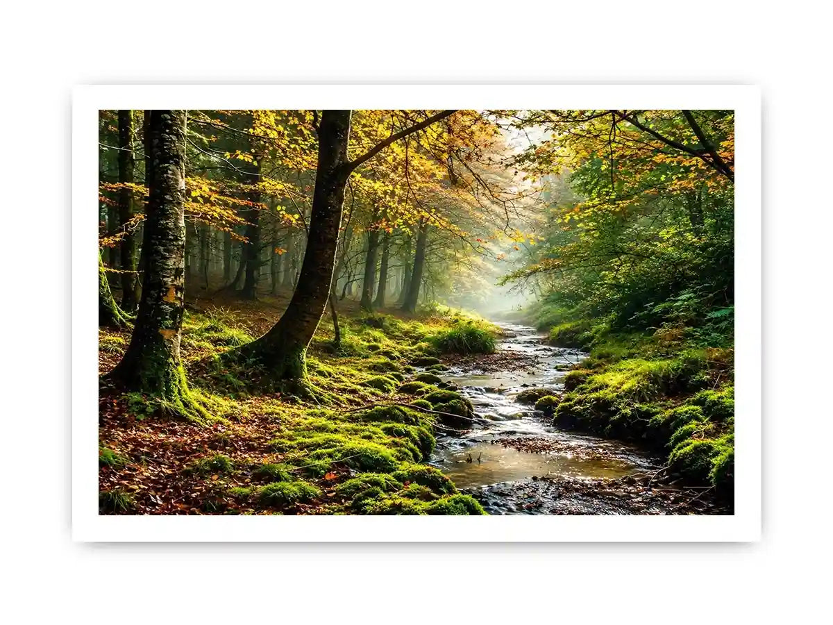 Misty Morning Canvas Print