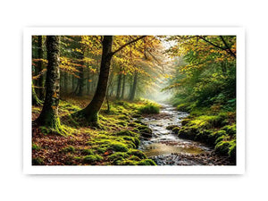 Misty Morning Canvas Print