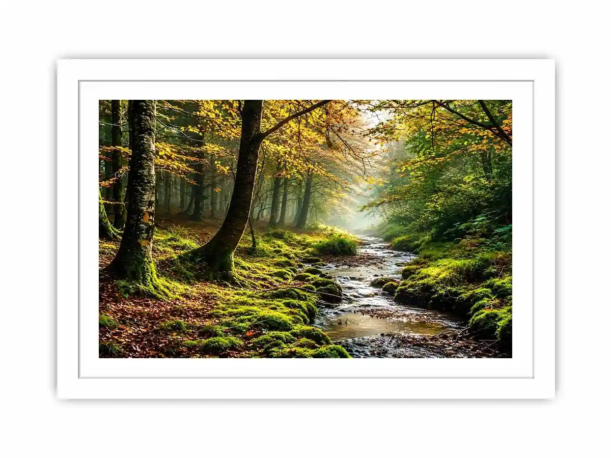 Misty Morning Canvas Print