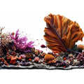 Underwater Coral Canvas Print