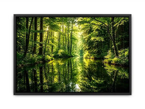 Forest Lake Canvas Print