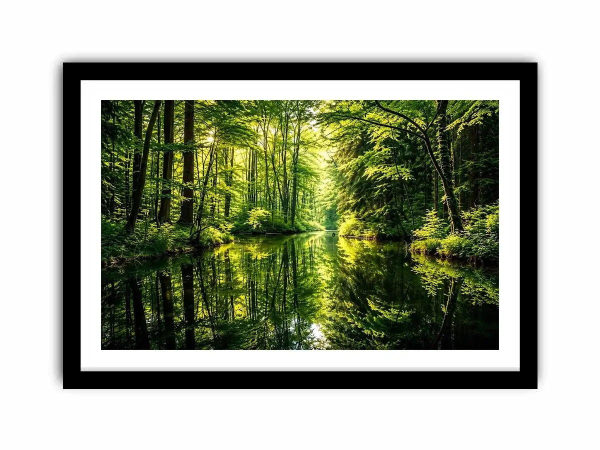 Forest Lake Canvas Print