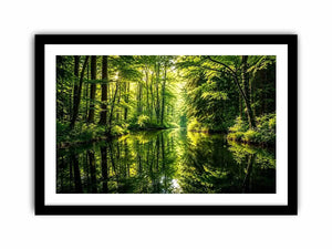 Forest Lake Canvas Print