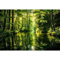 Forest Lake Canvas Print