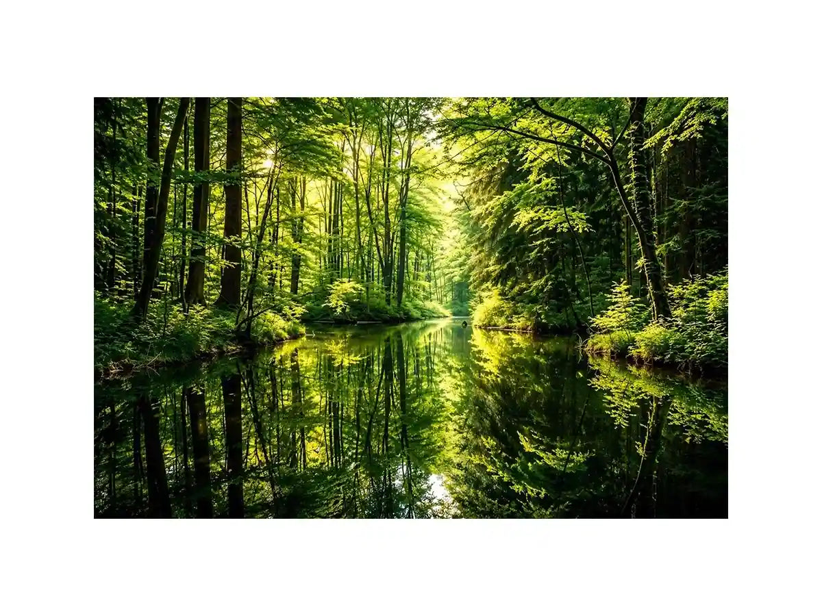 Forest Lake Canvas Print