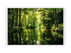 Forest Lake Canvas Print