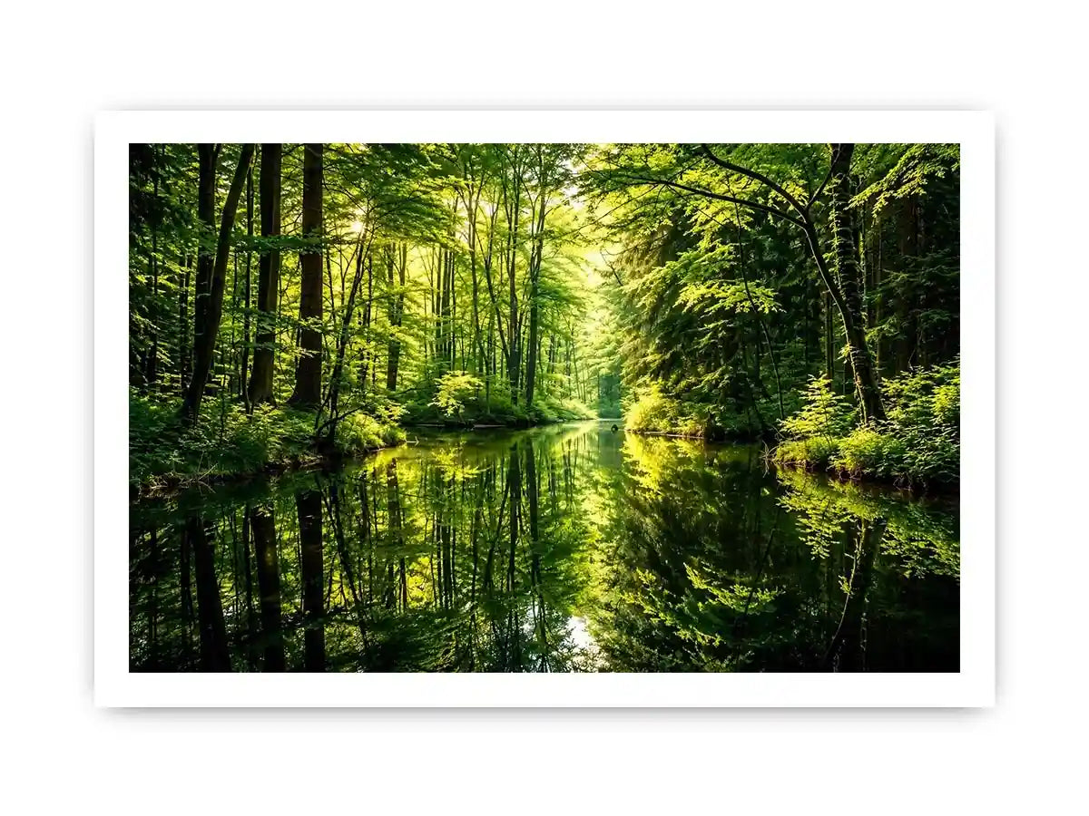 Forest Lake Canvas Print