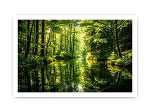 Forest Lake Canvas Print