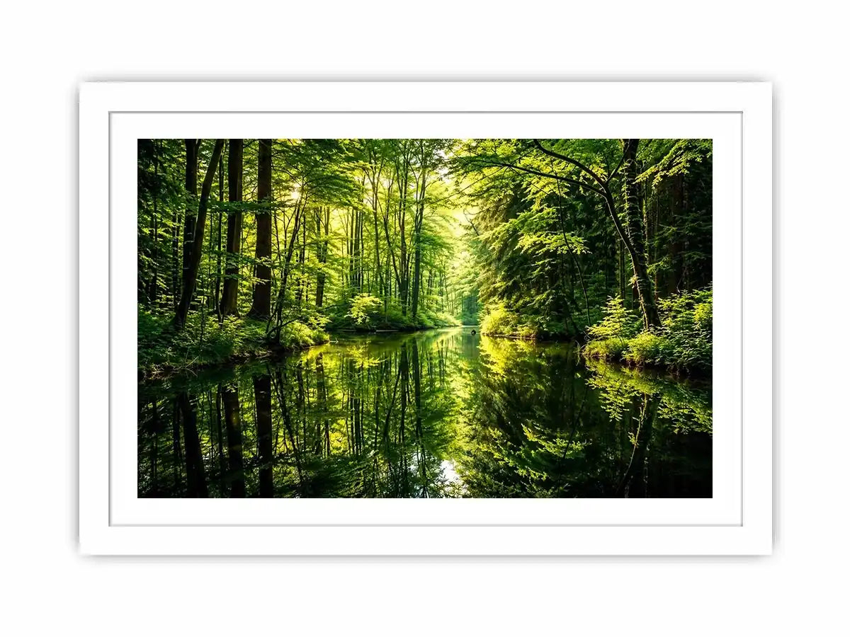 Forest Lake Canvas Print