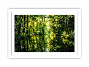 Forest Lake Canvas Print