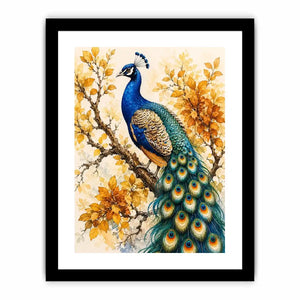 Peacock Canvas Print