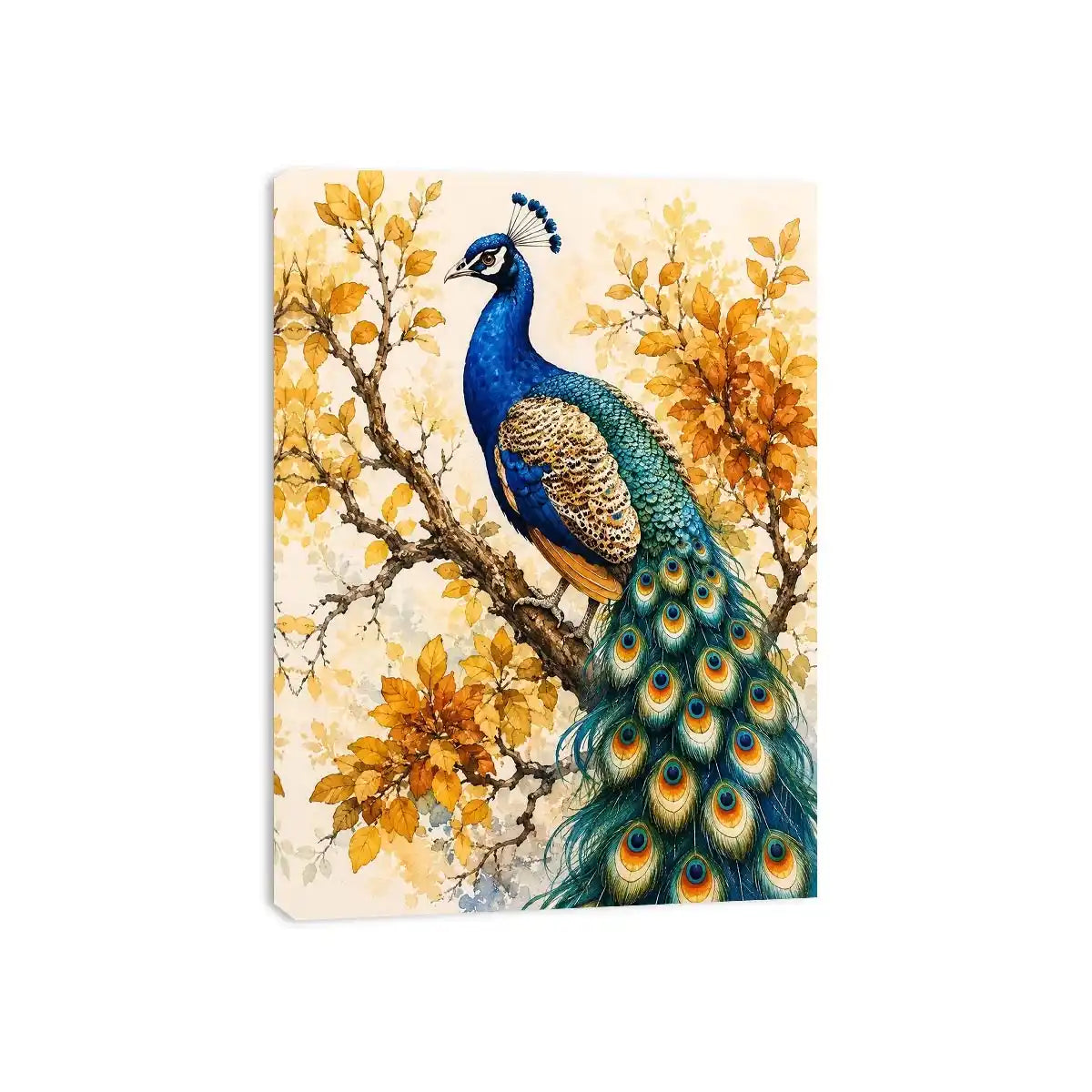 Peacock Canvas Print