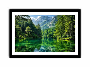 Forest Lake Canvas Print