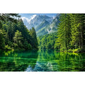 Forest Lake Canvas Print