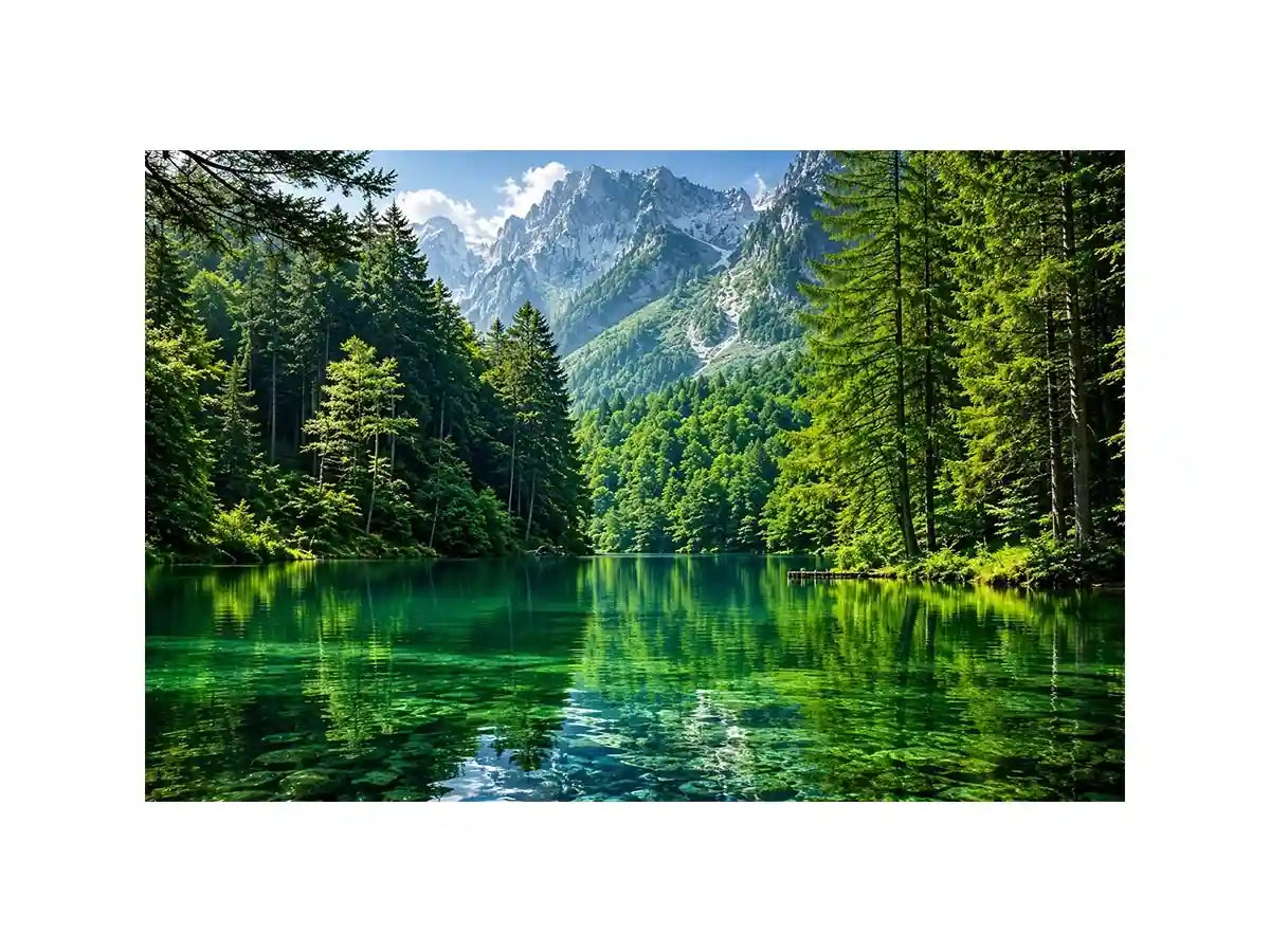Forest Lake Canvas Print