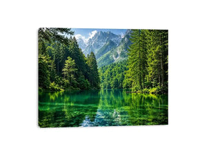 Forest Lake Canvas Print