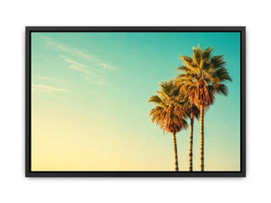 Palm Trees vintage Canvas Print