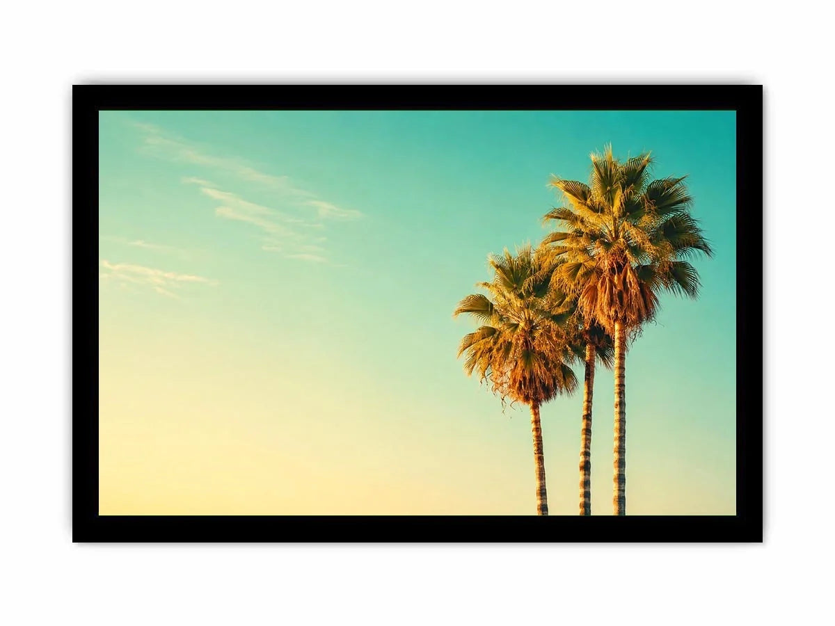 Palm Trees vintage Canvas Print