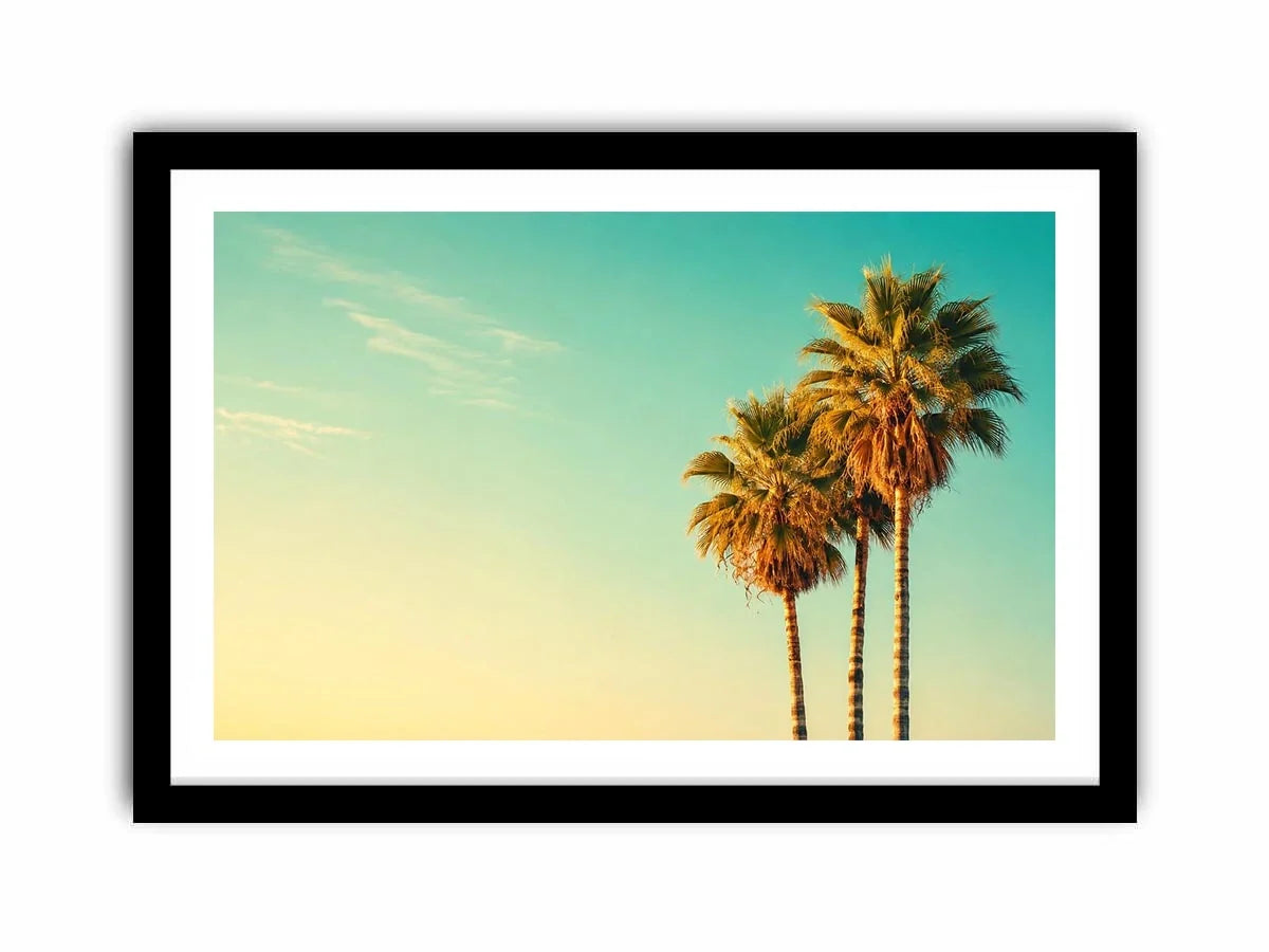 Palm Trees vintage Canvas Print