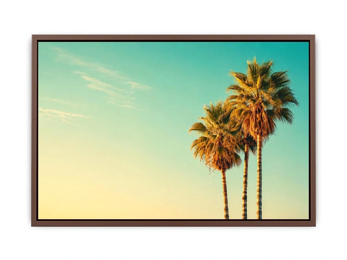 Palm Trees vintage Canvas Print