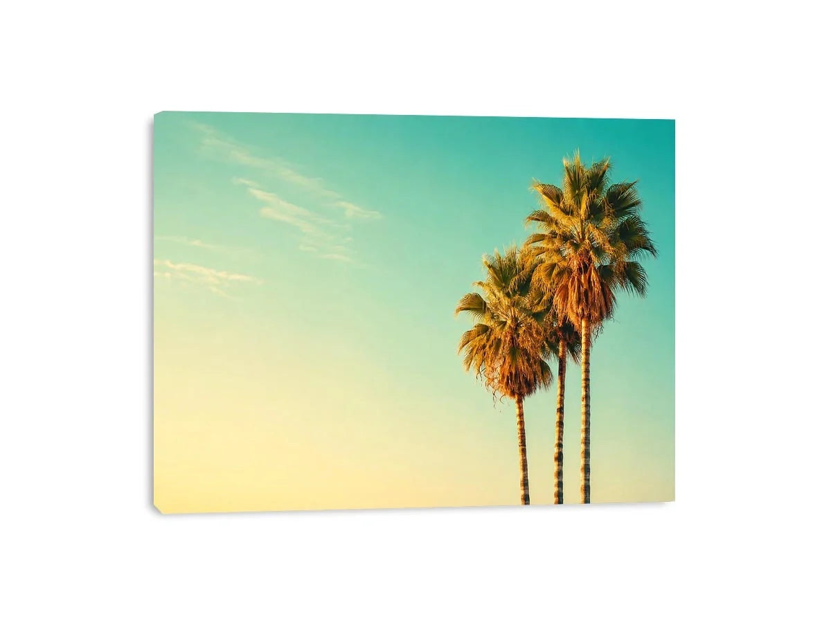 Palm Trees vintage Canvas Print
