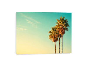 Palm Trees vintage Canvas Print